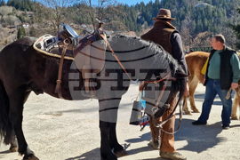 Село Момчиловци - Тодоровден