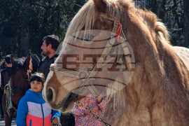 Село Момчиловци - Тодоровден