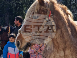 Село Момчиловци - Тодоровден