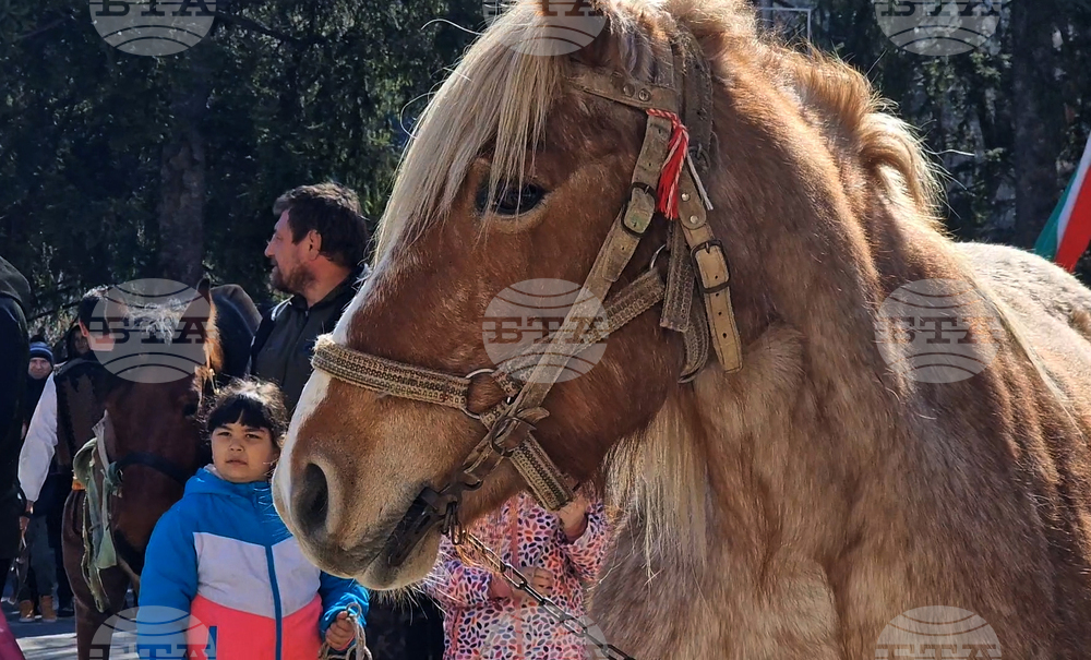 Село Момчиловци - Тодоровден