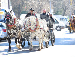 Снимка: Община Банско