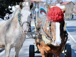 Снимка: Община Банско