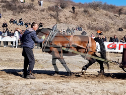 Село Люлин - Тодоровден - отбелязване