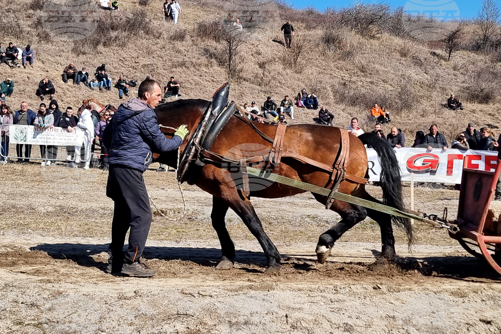 Село Люлин - Тодоровден - отбелязване