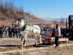 Село Люлин - Тодоровден - отбелязване