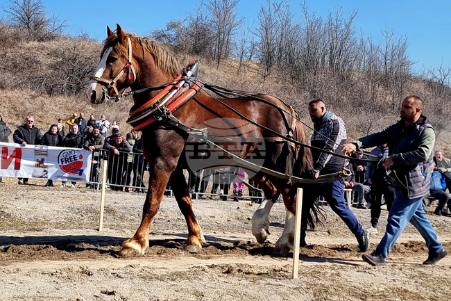 Село Люлин - Тодоровден - отбелязване