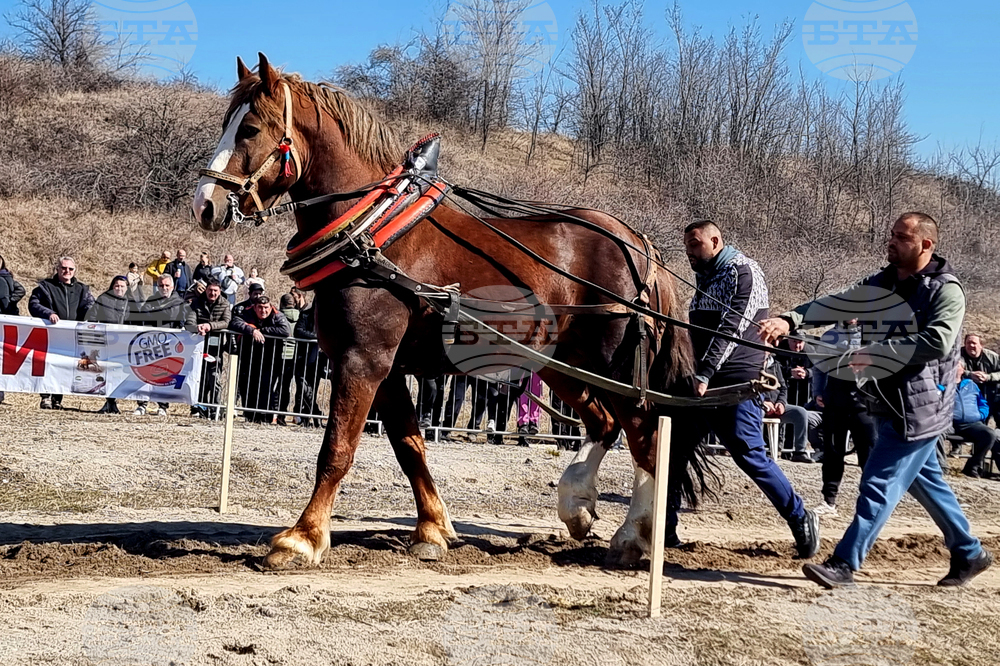 Село Люлин - Тодоровден - отбелязване