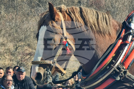 Село Люлин - Тодоровден - отбелязване