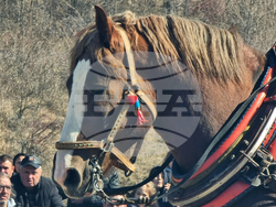 Село Люлин - Тодоровден - отбелязване
