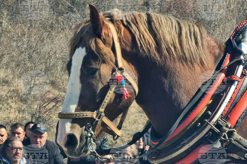 Село Люлин - Тодоровден - отбелязване