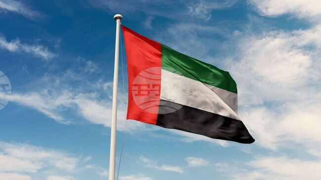 УАМ: ОАЕ осъждат най-категорично ракетните атаки на Иран, насочени срещу братски държави 