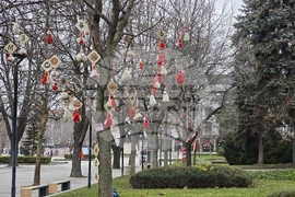 Плевен - Баба Марта - украса