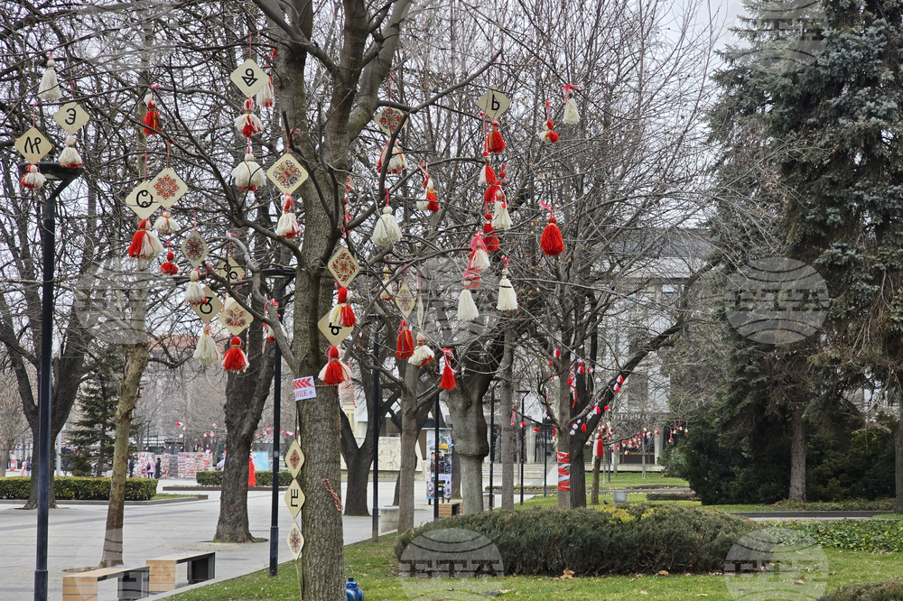 Плевен - Баба Марта - украса