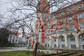 Плевен - Баба Марта - украса