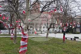 Плевен - Баба Марта - украса