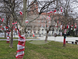 Плевен - Баба Марта - украса