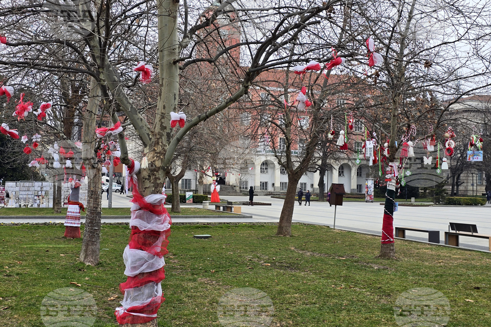 Плевен - Баба Марта - украса