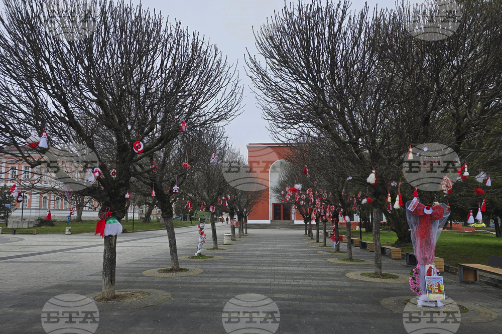 Плевен - Баба Марта - украса