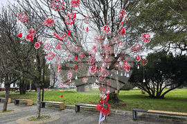 Плевен - Баба Марта - украса