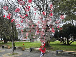 Плевен - Баба Марта - украса