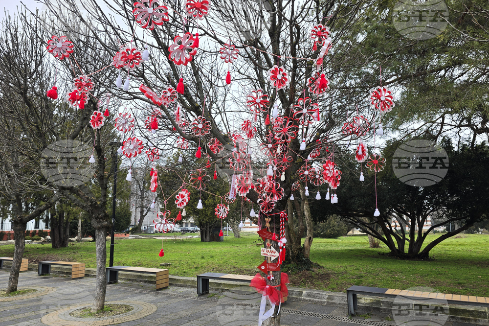 Плевен - Баба Марта - украса