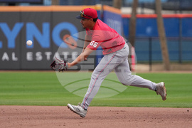 Nationals Mets Spring Baseball