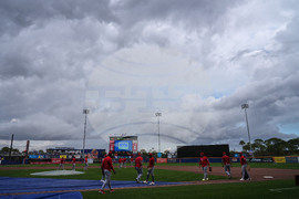 Nationals Mets Spring Baseball