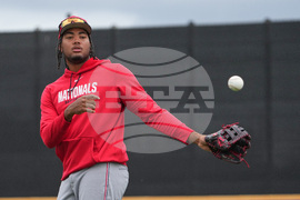 Nationals Mets Spring Baseball