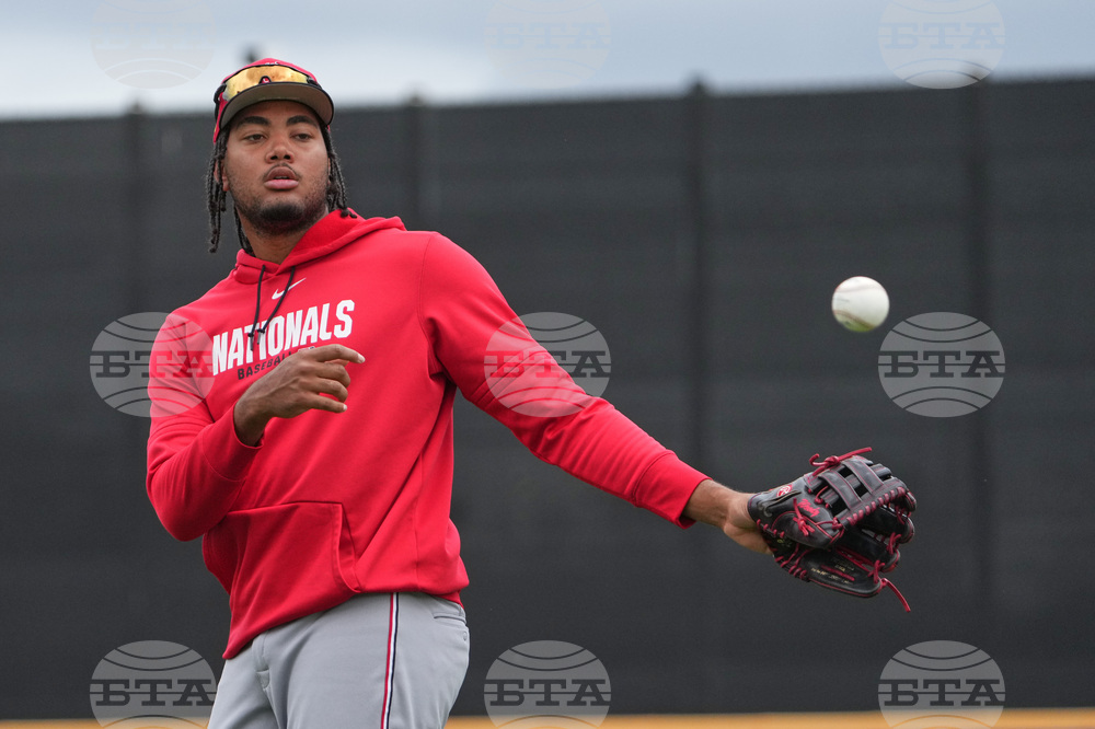 Nationals Mets Spring Baseball