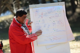 Парк за мечки Белица - мечки - освобождаване от затворени заграждения