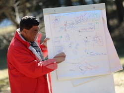 Парк за мечки Белица - мечки - освобождаване от затворени заграждения