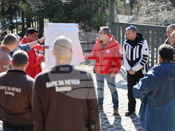 Парк за мечки Белица - мечки - освобождаване от затворени заграждения