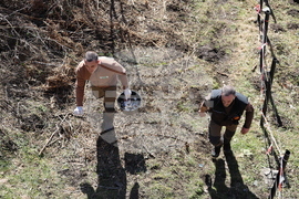 Парк за мечки Белица - мечки - освобождаване от затворени заграждения