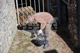 Парк за мечки Белица - мечки - освобождаване от затворени заграждения