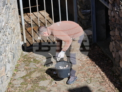 Парк за мечки Белица - мечки - освобождаване от затворени заграждения