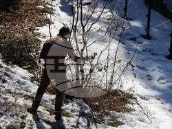 Парк за мечки Белица - мечки - освобождаване от затворени заграждения