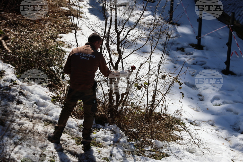 Парк за мечки Белица - мечки - освобождаване от затворени заграждения