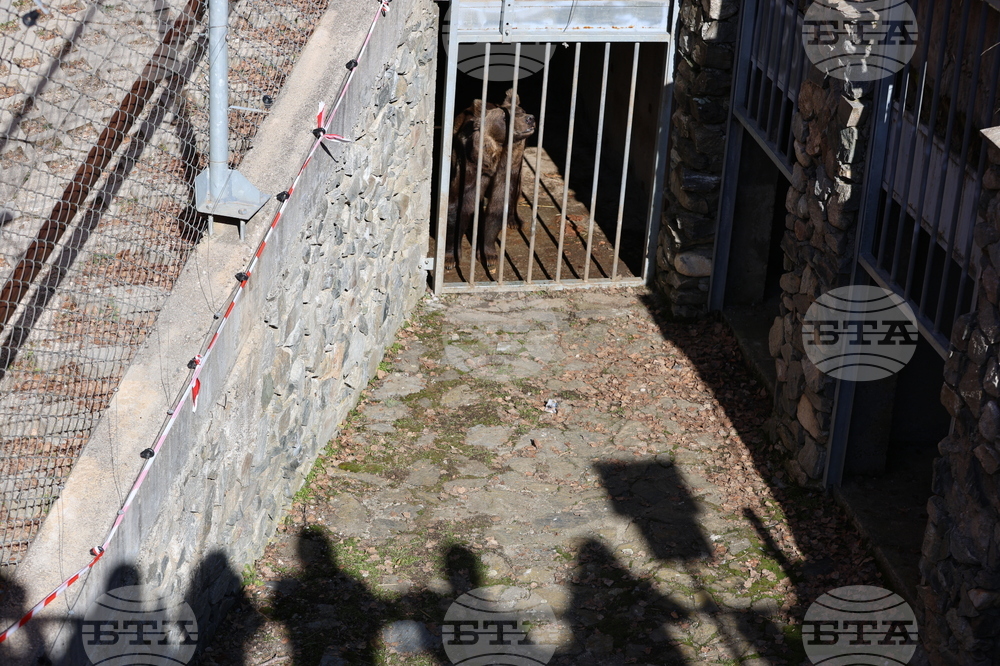 Парк за мечки Белица - мечки - освобождаване от затворени заграждения