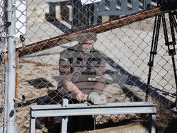 Парк за мечки Белица - мечки - освобождаване от затворени заграждения