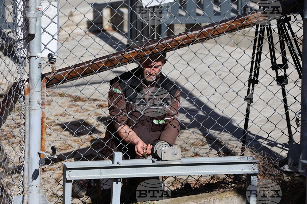 Парк за мечки Белица - мечки - освобождаване от затворени заграждения