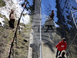 Парк за мечки Белица - мечки - освобождаване от затворени заграждения