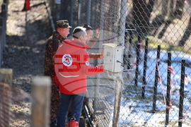 Парк за мечки Белица - мечки - освобождаване от затворени заграждения