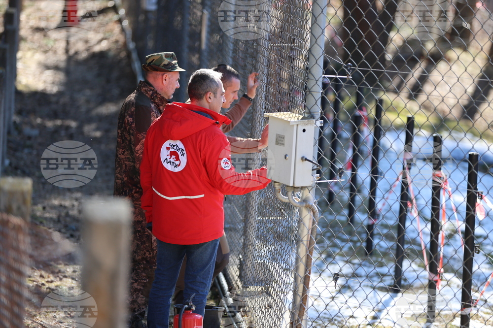 Парк за мечки Белица - мечки - освобождаване от затворени заграждения