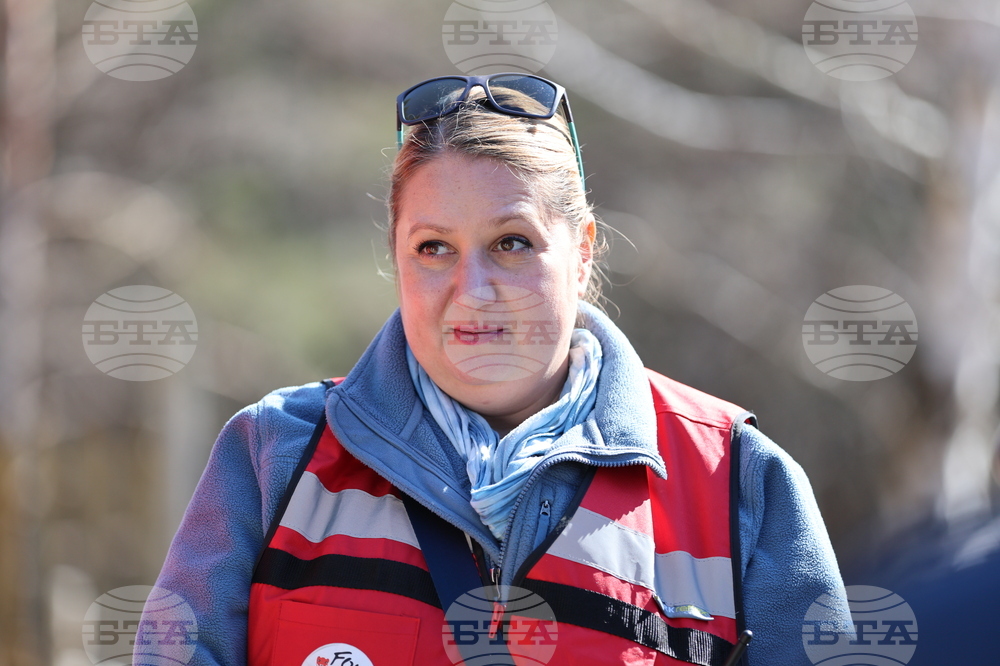 Парк за мечки Белица - мечки - освобождаване от затворени заграждения