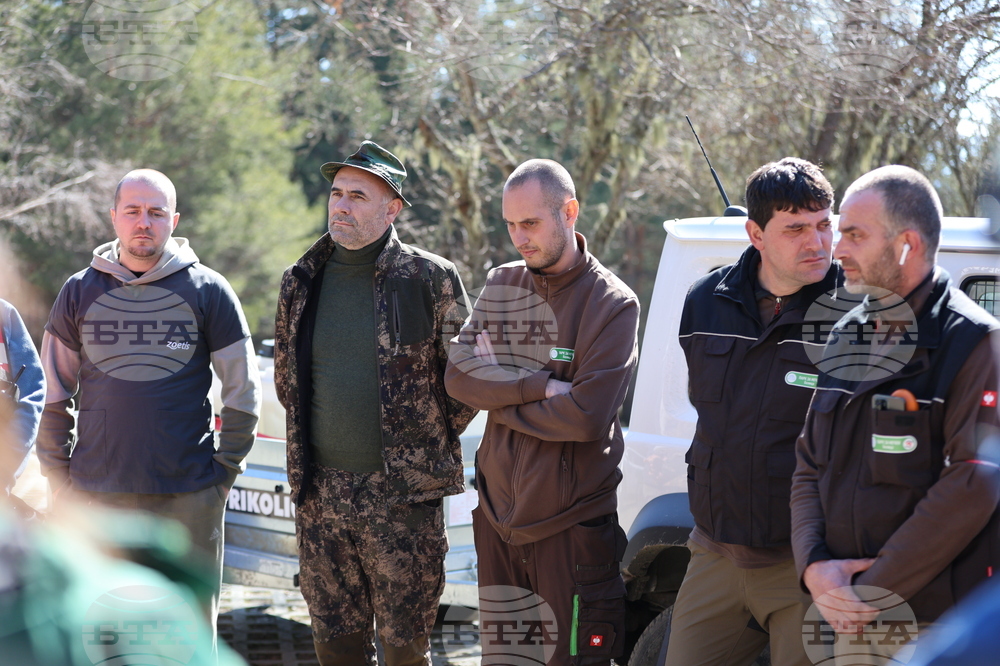 Парк за мечки Белица - мечки - освобождаване от затворени заграждения