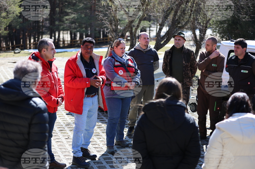 Парк за мечки Белица - мечки - освобождаване от затворени заграждения