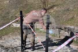 Парк за мечки Белица - мечки - освобождаване от затворени заграждения