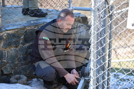 Парк за мечки Белица - мечки - освобождаване от затворени заграждения