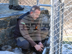 Парк за мечки Белица - мечки - освобождаване от затворени заграждения