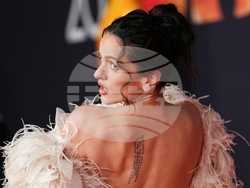 Britain Brit Awards 2026 Red Carpet